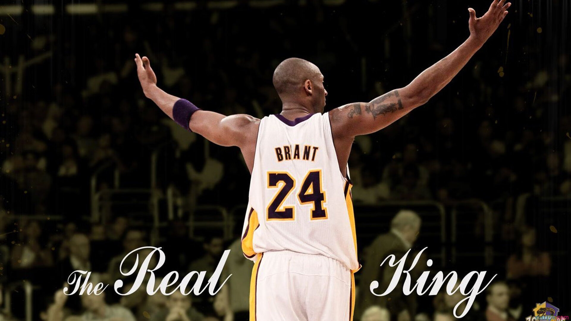 九游娱乐入口-红土之王跨界点燃赛场，蒙特卡洛大师赛横扫联合杯，纳达尔诠释何为统治力